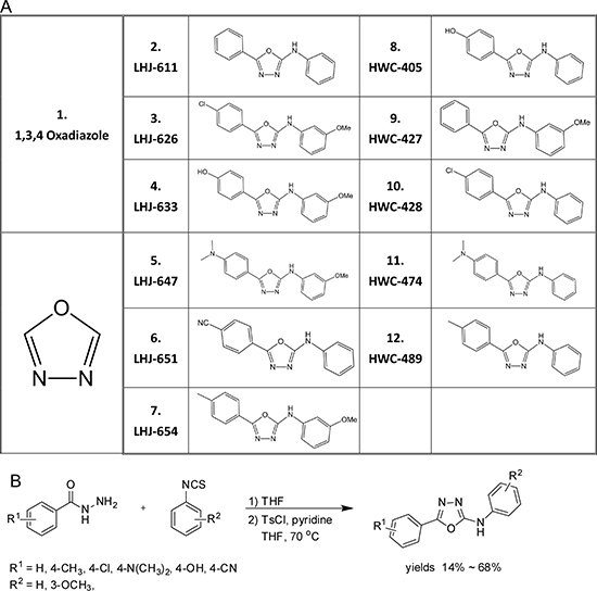 Structures and preparation of oxadiazole and derivatives.