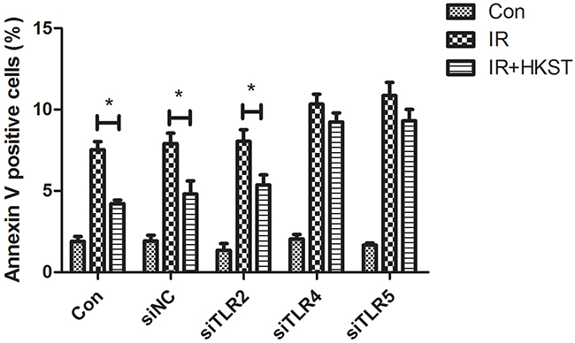 HKST inhibited radiation-induced apoptosis in TLR2 knock down cells, but not in TLR4 and TLR5 knock down cells.