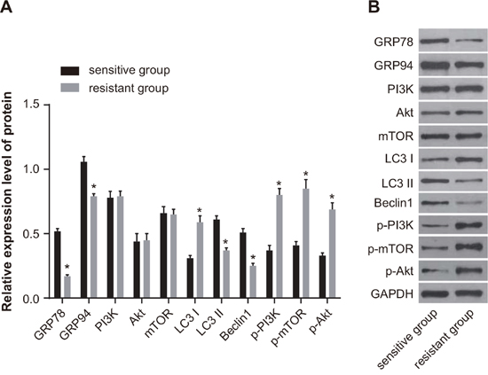 Comparison of the protein expression of GRP78, GRP94, PI3K, Akt, mTOR, LC3 and Beclin1 between the sensitive and resistant groups.