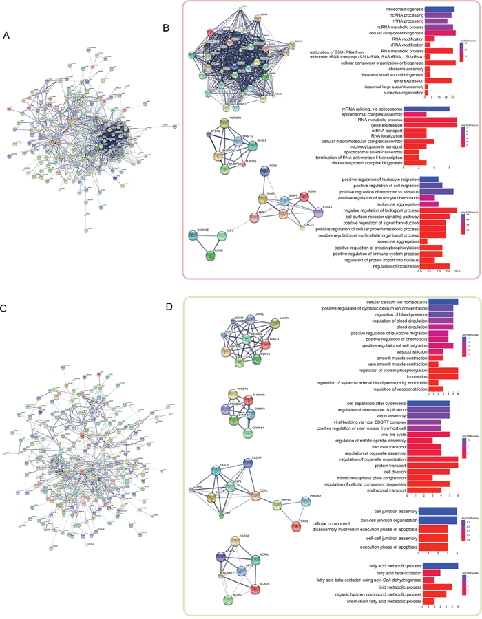 PPI network analysis of the distance-related differentially expressed genes.