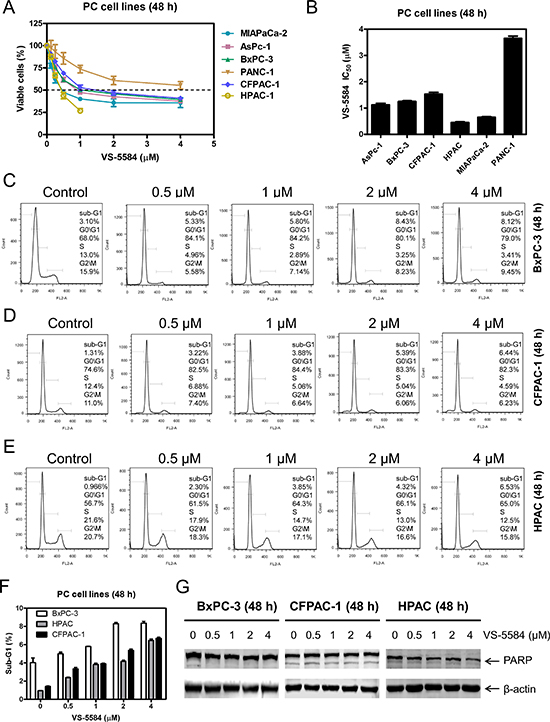 VS-5584 treatment decreases the percentage of S and G2/M phase cells and induces minimal cell death in PDAC cell lines.