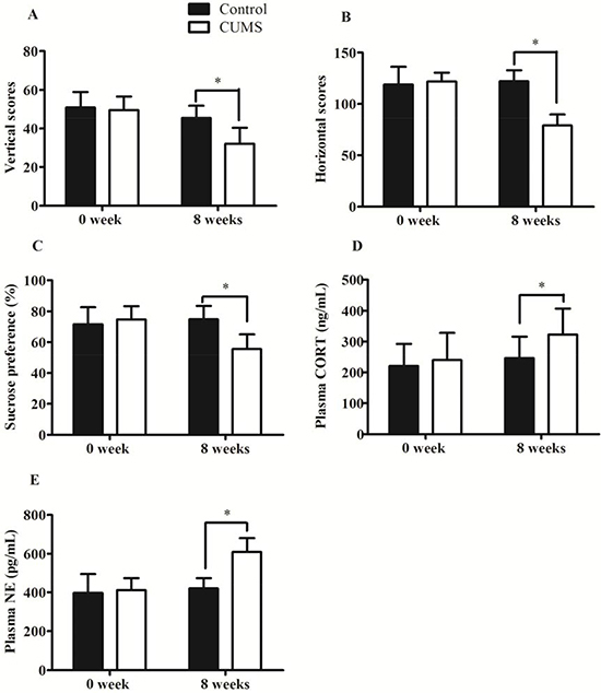 Validation of CUMS-induced depression model in GK rats.