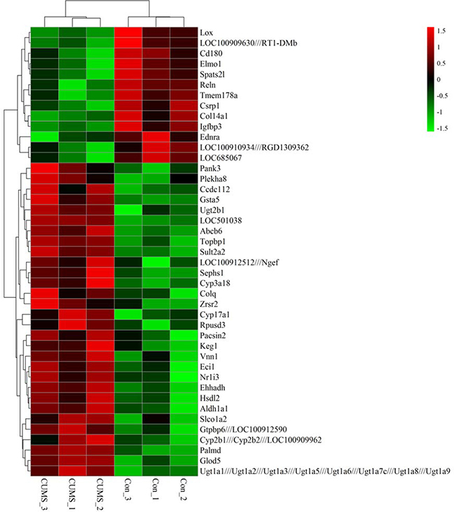 Hierarchical clustering heat map of differentially expressed genes in liver tissue of GK rats between CUMS and control group.
