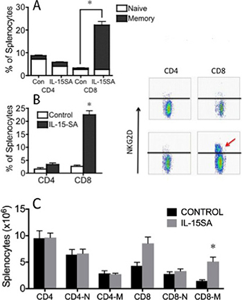 IL-15SA administration increases CD8+ CD44+ and CD8+NKG2D+ effector/memory T cells.