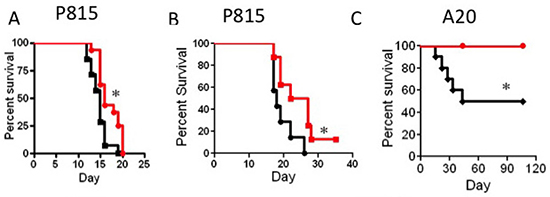 IL-15SA administration increases GVT activity after transplant.