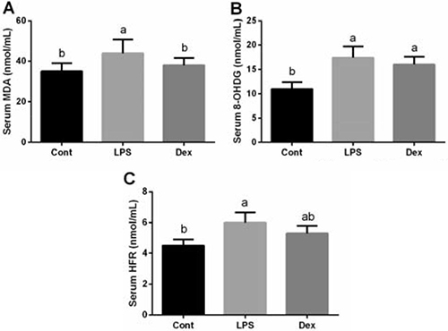 Dexmedetomidine alleviated LPS-induced oxidative stress in the serum of rats.