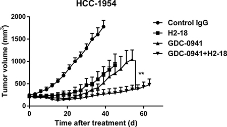 H2-18 plus GDC-0941 suppressed the in vivo growth of HCC-1954 xenografts.