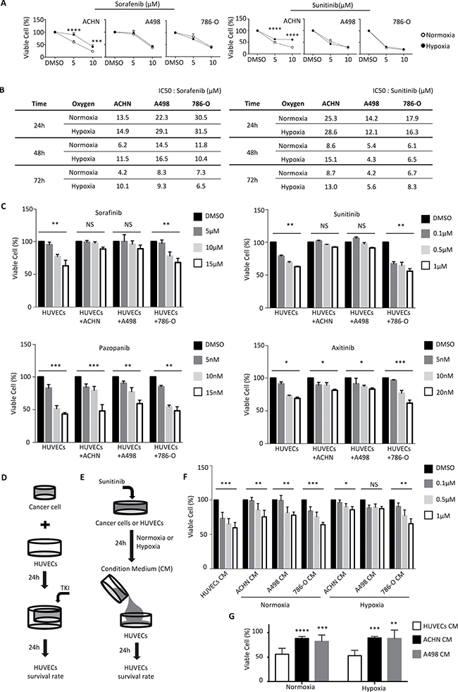 RCCs have different potentials to protect endothelial cells against sunitinib.