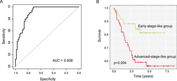 Performance evaluation of SVM-based lncRNA risk classifiers in the training dataset.