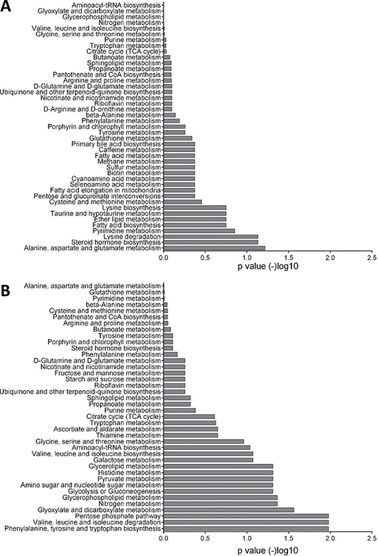 Enrichment analysis of metabolomics data.