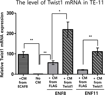 The effect of Twist1 expression in esophageal normal fibroblasts (NFs) on the expression of Twist1 in esophageal cancer cell (TE11).