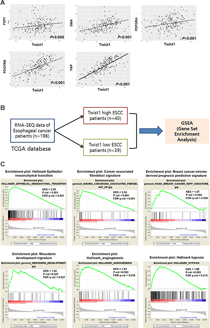 Analysis of TCGA data revealed correlation between Twist1 and CAF markers as well as enrichment of CAF related gene signatures in Twist1-high ESCC.