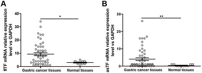 The mRNA expression levels of flTF and asTF in human gastric tissues.