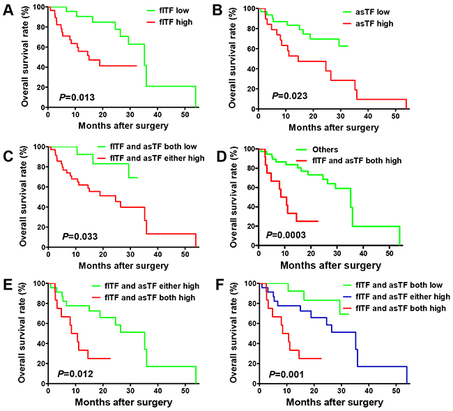 Prognostic value of flTF and asTF levels in human gastric cancer tissues.