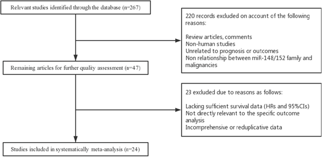 Flow diagram of literature search and selection process.