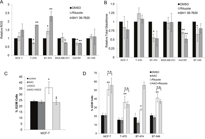 Riluzole-mediated G2/M arrest is independent of induction of oxidative stress.