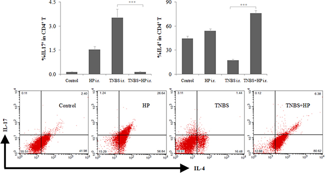 Intrarectal (i.r.) administration of NCTC11639 increases the Th2:Th17 ratio of CD4+ T in murine colonic mucosa.