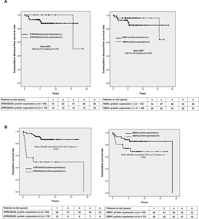 Prognostic factors affecting survival in patients with curatively resected PanNETs.