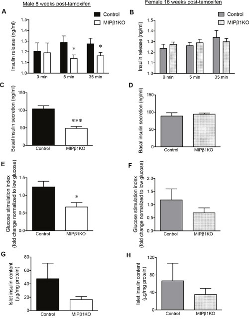 Impaired in vivo and ex vivo glucose-stimulated insulin secretion (GSIS) in male MIP&#x03B2;1KO mice.
