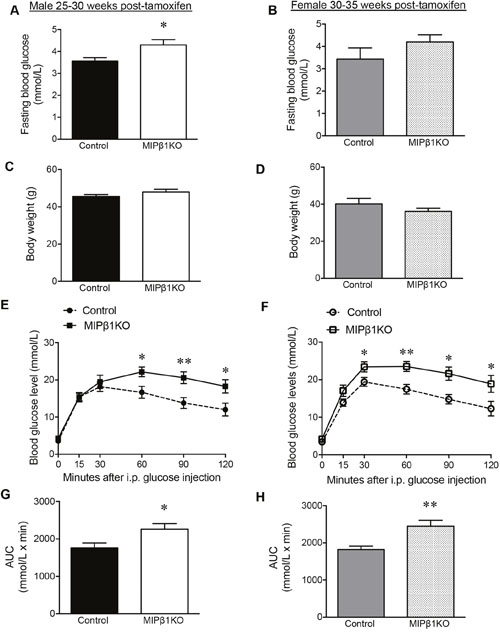 Impairment of glucose metabolism in aged MIP&#x03B2;1KO mice.