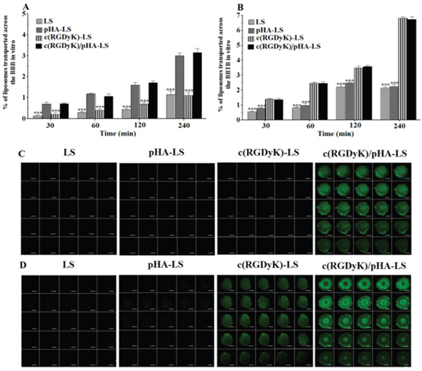 Multi-targeting ability in vitro.