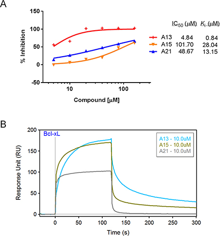 Validation of compounds A13, A15, and A21 binding to Bcl-xL protein.
