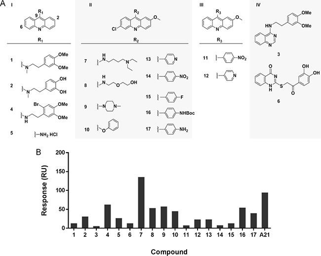 Analysis of structure-activity relationship of A21 derivatives.