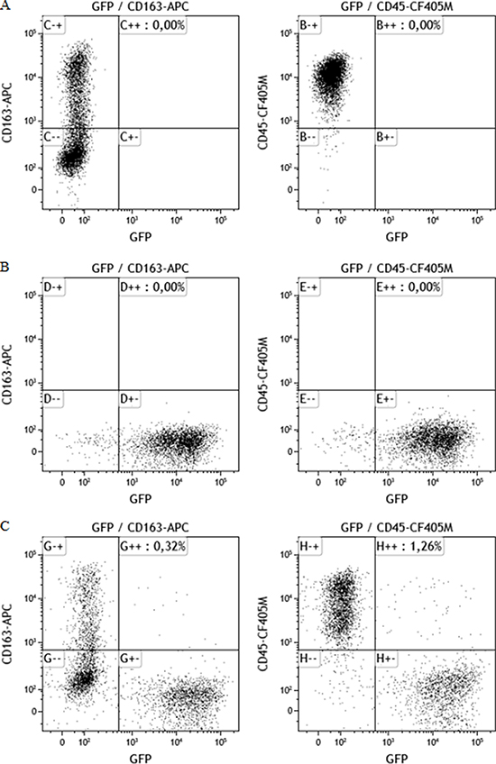 Dot plots showing cellular staining of CD163, CD45 and GFP.