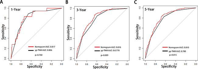 Comparison of the areas under the receiver operating curves of two prognostic models to prediction of DSS at 1&#x2013;year (A), 3&#x2013;year (B) and 5&#x2013;year (C) in the validation set.
