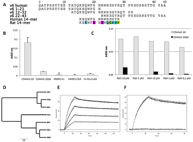 Antigens, post-selection analysis and characterization of scFv clones.