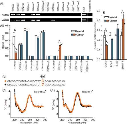 Fig 4: Characteristic histone modification pattern of -132 site methylation in