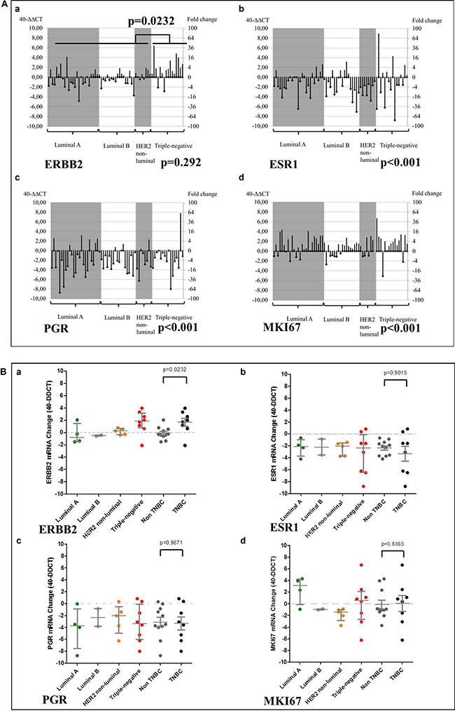 Changes from PT baseline in the MT mRNA levels of tumor biomarkers, by tumor subtype.