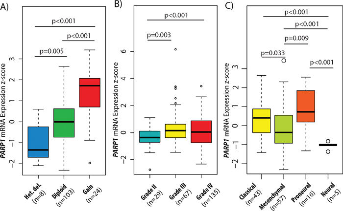 PARP1 copy number and expression levels in GBM subtypes and glioma WHO grades.