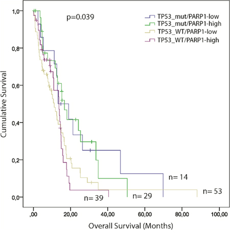 Kaplan&ndash;Meier plot of overall survival (OS) stratified by the combination of high and low PARP1 mRNA expression and TP53 mutation status in GBM.