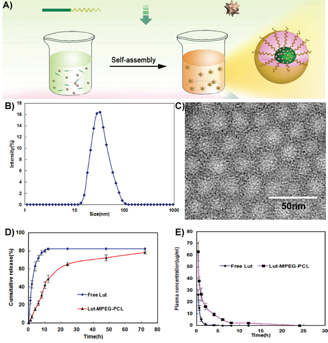 Preparation and identification of Luteolin/MPEG-PCL micelles.