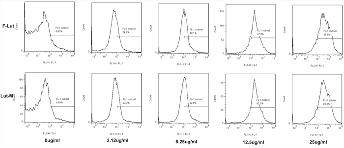 Cell proliferation determination with CFSE staining.