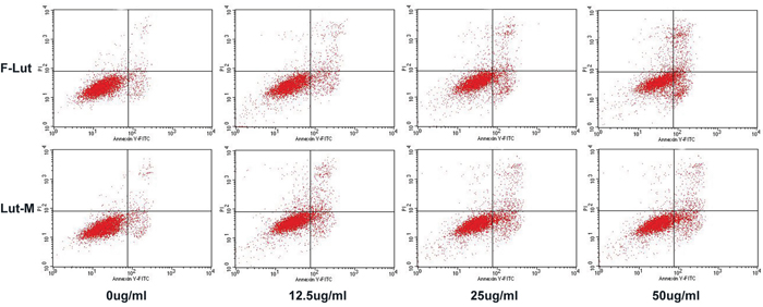 Cell apoptosis test with FCM.