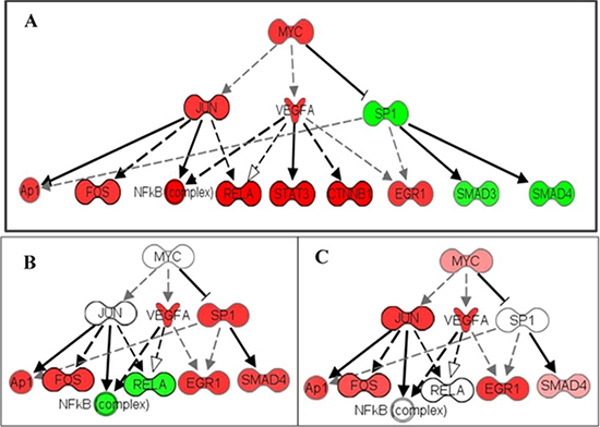 Heterogeneity of MYC pathway activation in cancer.