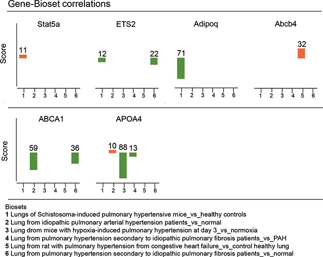Validation of the DNA methylation profile using public gene expression data sets obtained in lung tissues from experimental and human pulmonary hypertension.