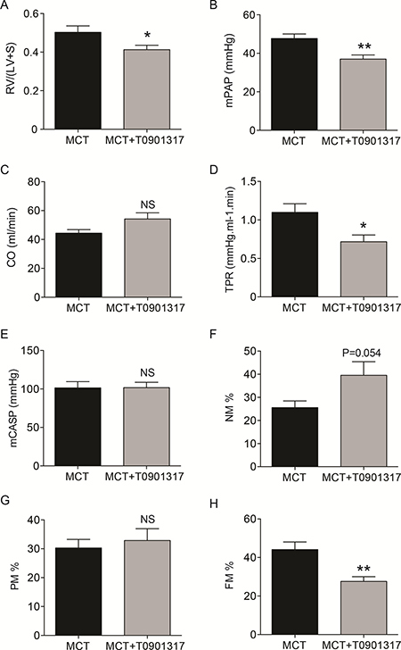 In vivo effects of the ABCA1-activating compound T0901317 on hemodynamics, right heart hypertrophy and pulmonary vascular remodeling in monocrotaline-induced pulmonary hypertension in rats.