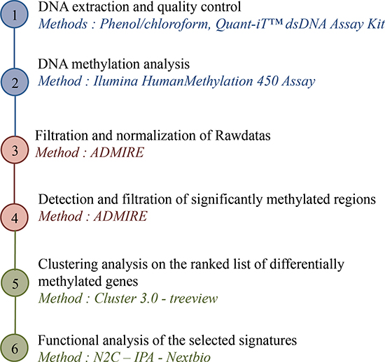 Strategy of DNA methylation analysis: from DNA to targeted promoters.