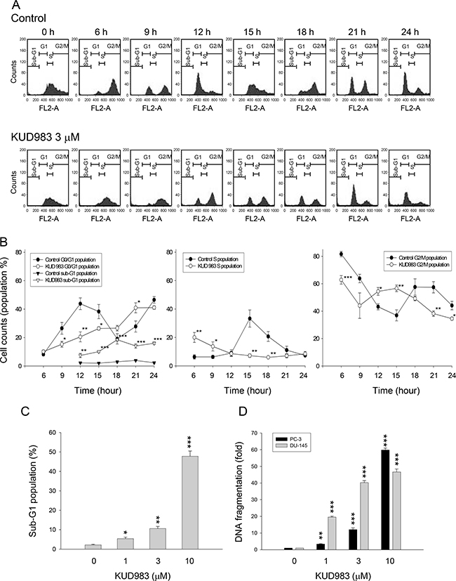 Effect of KUD983 on cell-cycle progression.