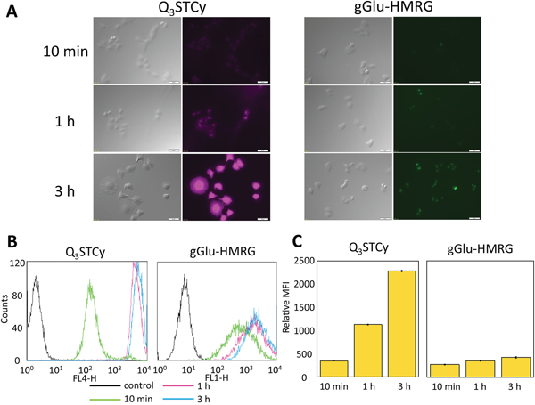 Figure 2: