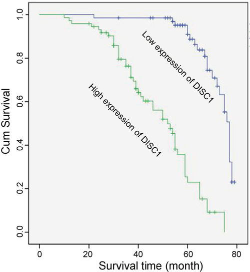 Kaplan-Meier survival analysis of DISC1 expression in NSCLC patients.