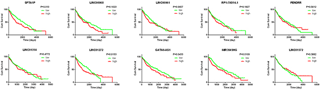 K-M curves of the top 10 lncRNAs in LUSC.