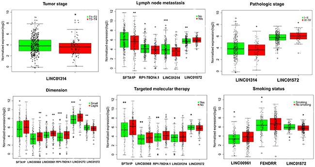 Association between the expression of key lncRNAs and clinicopathological features in LUSC.