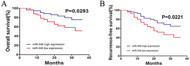 miR-346 was significantly associated with prognosis of HCC.