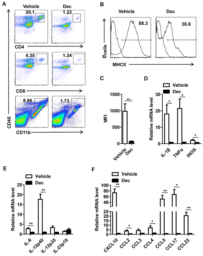 Decitabine inhibits proinflammatory response of CNS in EAE mice.