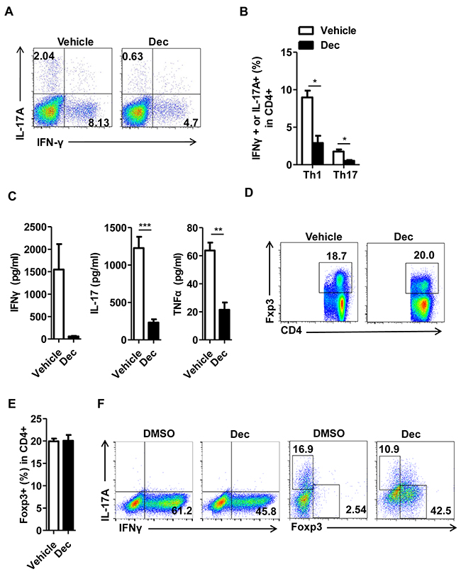 Decitabine modulates T cell differentiation in vivo and in vitro.