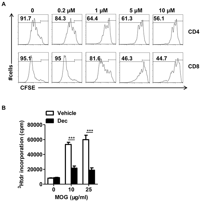 Decitabine inhibits na&#x00EF;ve T proliferation in vitro and modulated MOG-reactive CD4&#x002B;T cell response in vivo.
